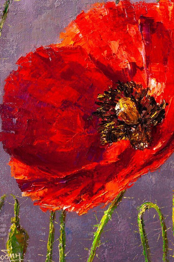 Red poppy