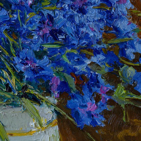 Wild Cornflowers
