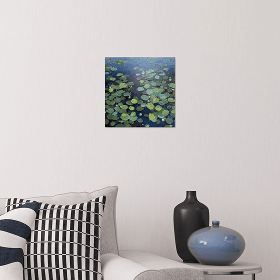 Water lilies. The pond. Evening dusk