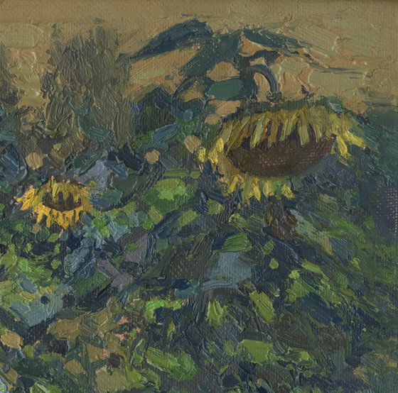 Sunflowers