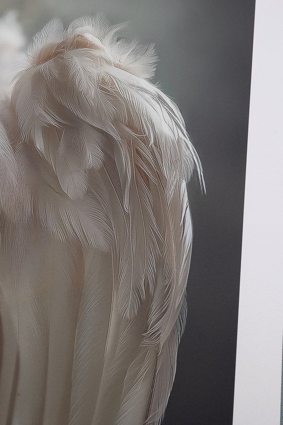 WHITE WINGS HEAVY HANDS - studio edition