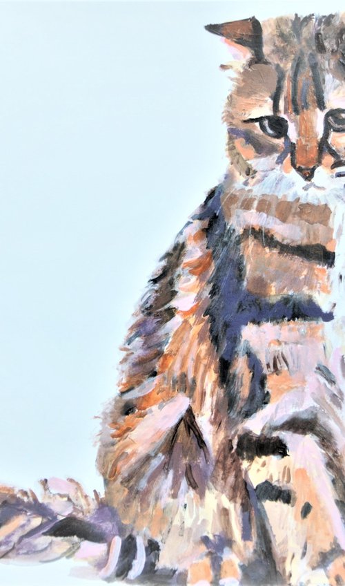 Kitten /  55 × 40.5  cm by Alexandra Djokic