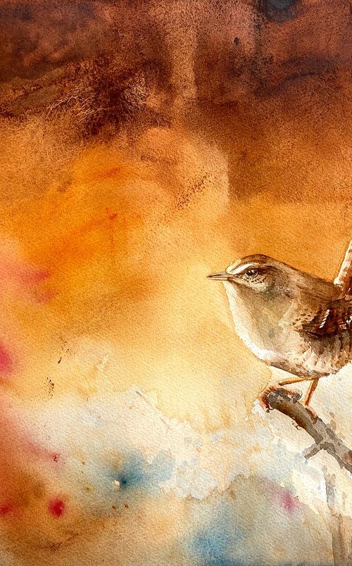 Wren, watercolor of birds and wildlife by Karolina Kijak