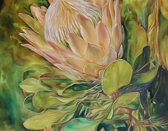 Protea