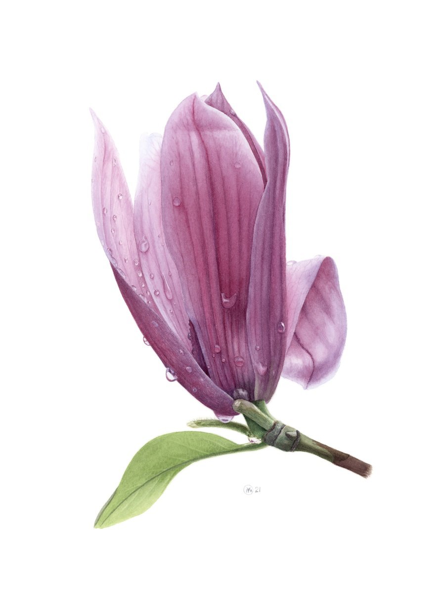 Photorealistic Botanical Watercolour By Yuliia Moiseieva, 11 X 15", Spring Freshness, Original Artwork