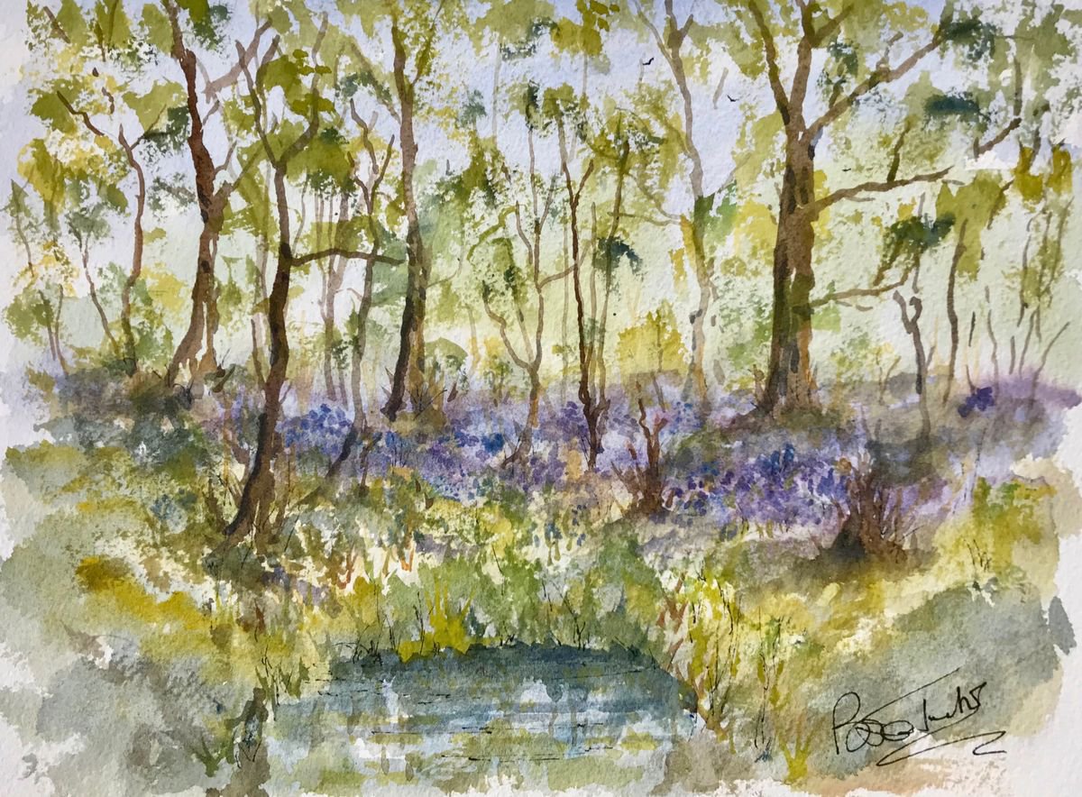 Bluebells in the Woods in Kent by Brian Tucker