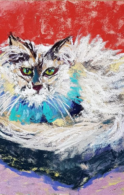 Persian cat by Silvia Flores Vitiello