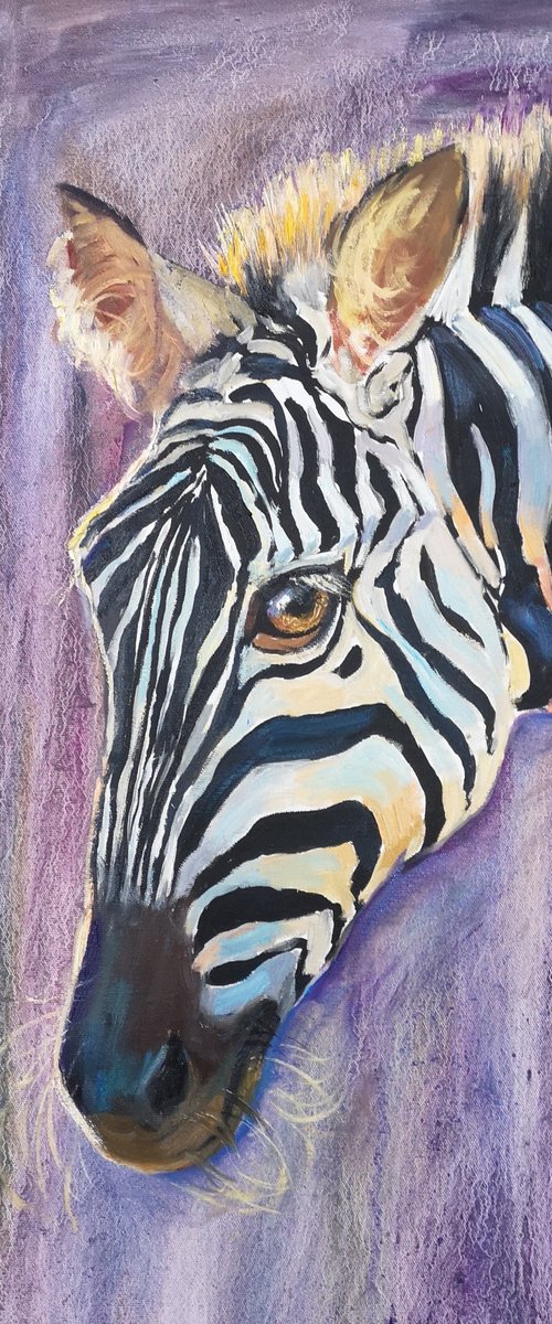 Evening zebra by Olga Samar