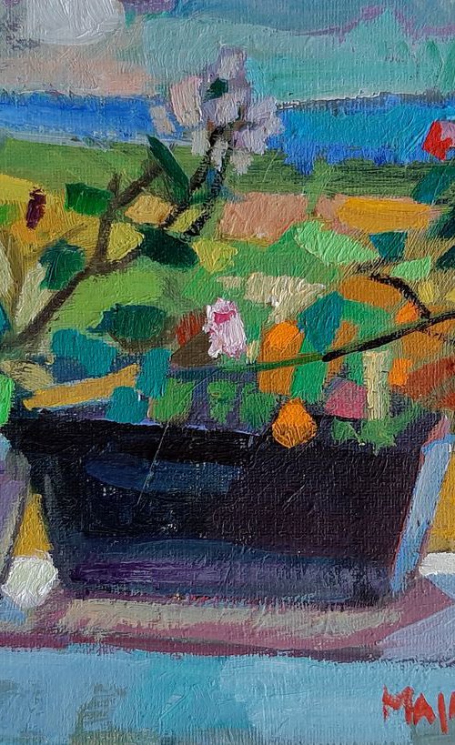 Summer flowers by Maja Đokić Mihajlović
