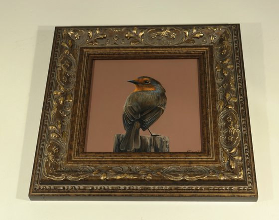 Morning Chorus Series - Red Robin, Bird Artwork, Animal Art Framed