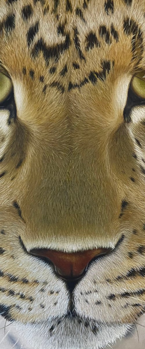In Her Eyes by Lianne Issa