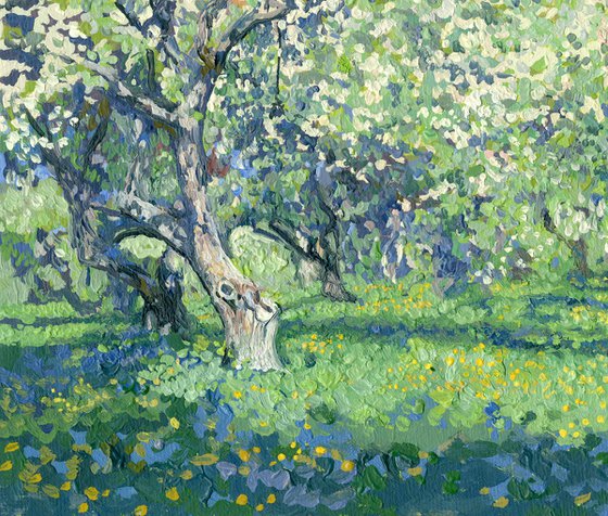 Apple tree in bloom. Kolomenskoye