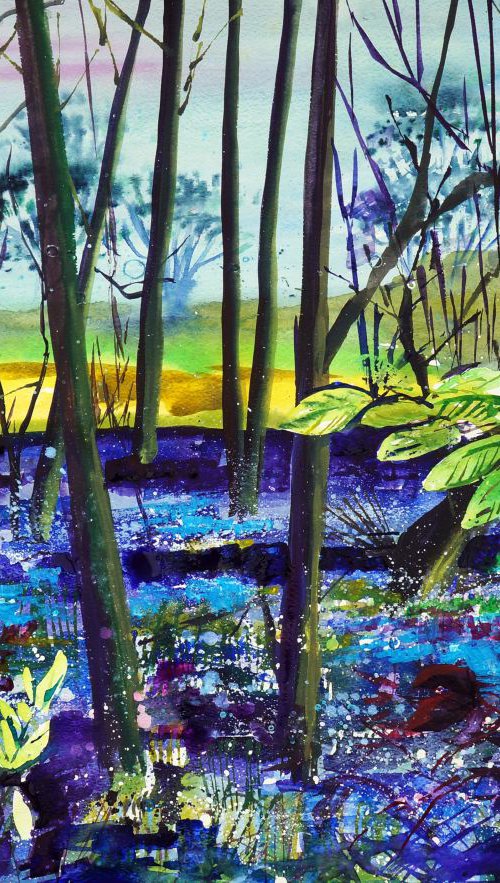 Early Evening Bluebells by Julia  Rigby