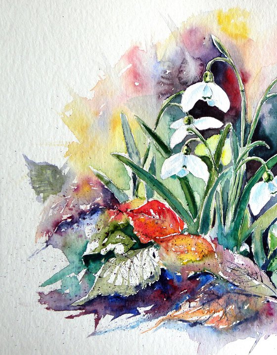 Snowdrops