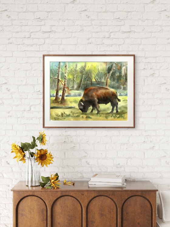 Bison in the Forest