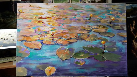 Painting - Water lilies at sunset - lily pond, original oil