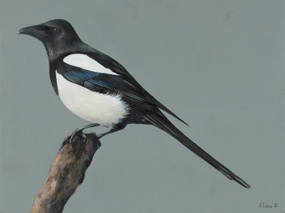 Magpie, Oil Painting, Bird Artwork, Animal Art Origina, Not Print