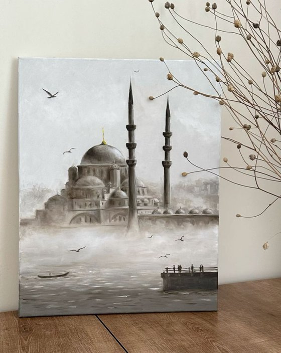 Mosque in Istanbul Turkey