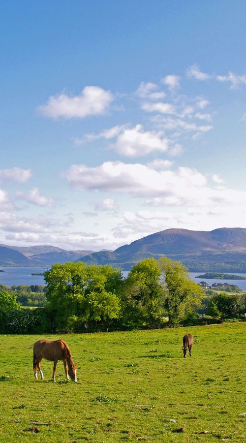 Springtime on Aghadoe Hill by Alex Cassels