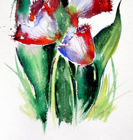 Three tulips