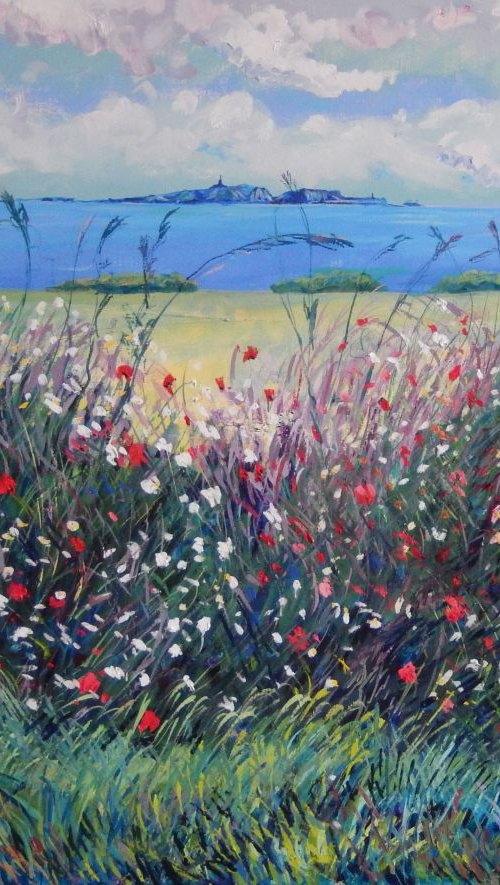 Wild Flowers and May Island by Stephen Howard Harrison
