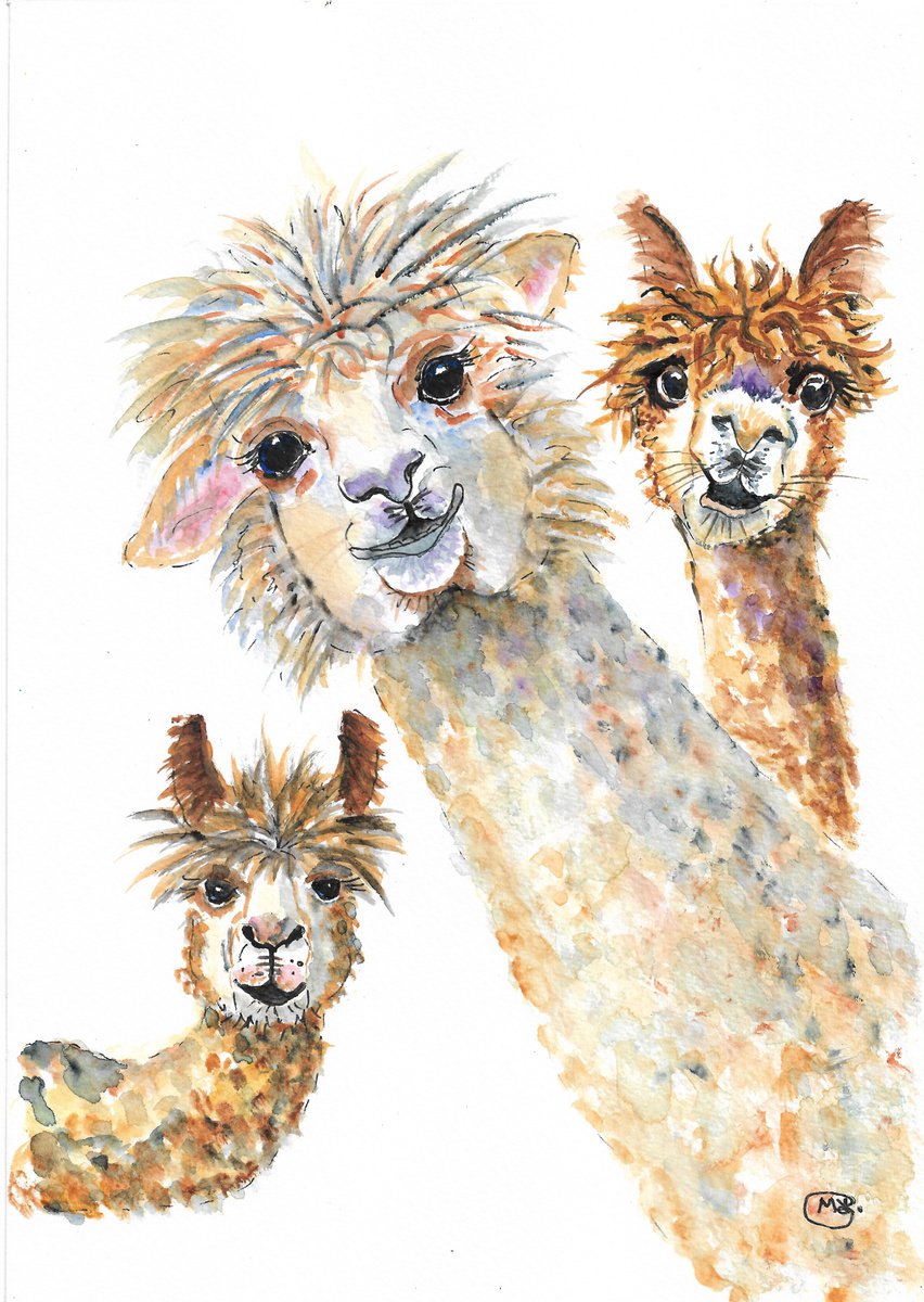 Alpaca Three. Cute animals by MARJANSART