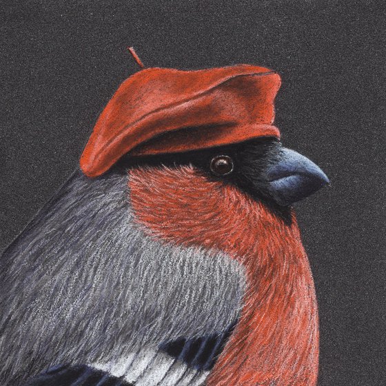 Original pastel drawing bird "Eurasian bullfinch"