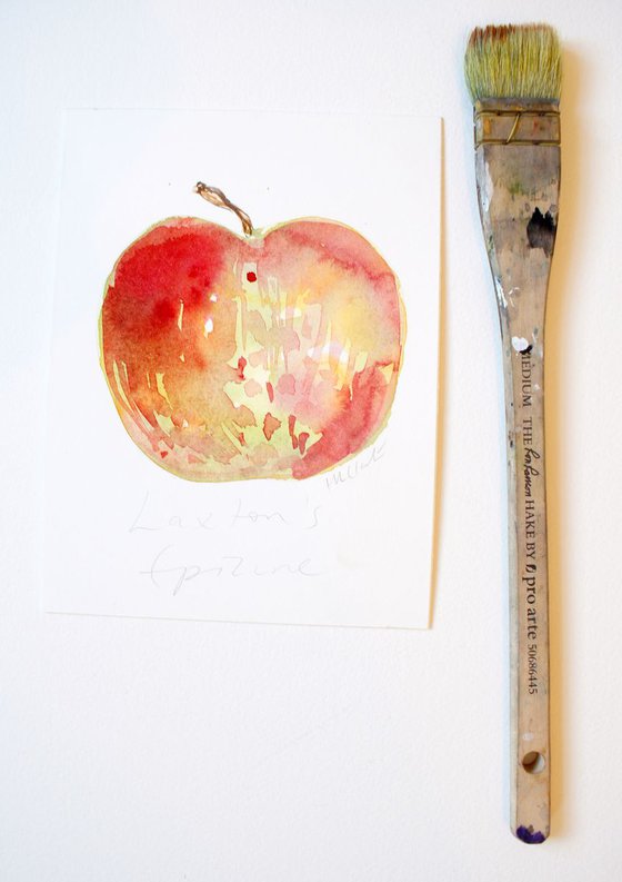Laxton's Epicure Apple Watercolour