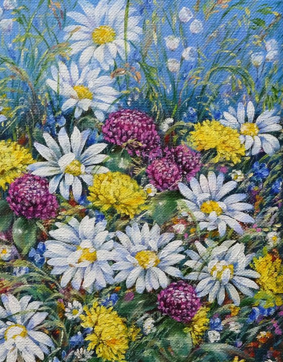 Daisies and Wildflowers.