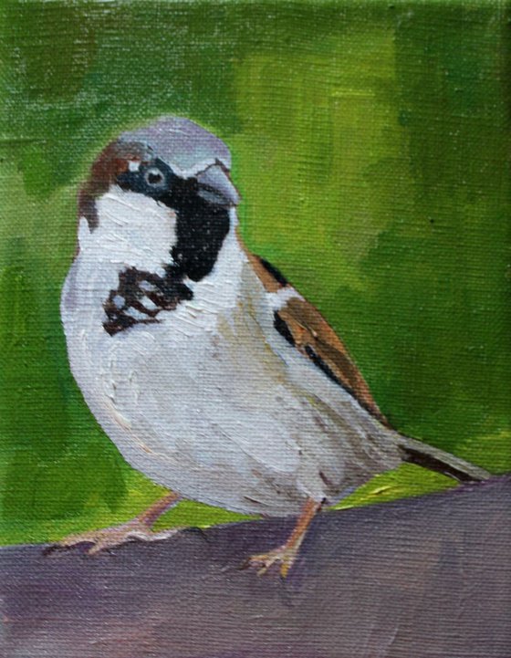 Spring Sparrows  #1