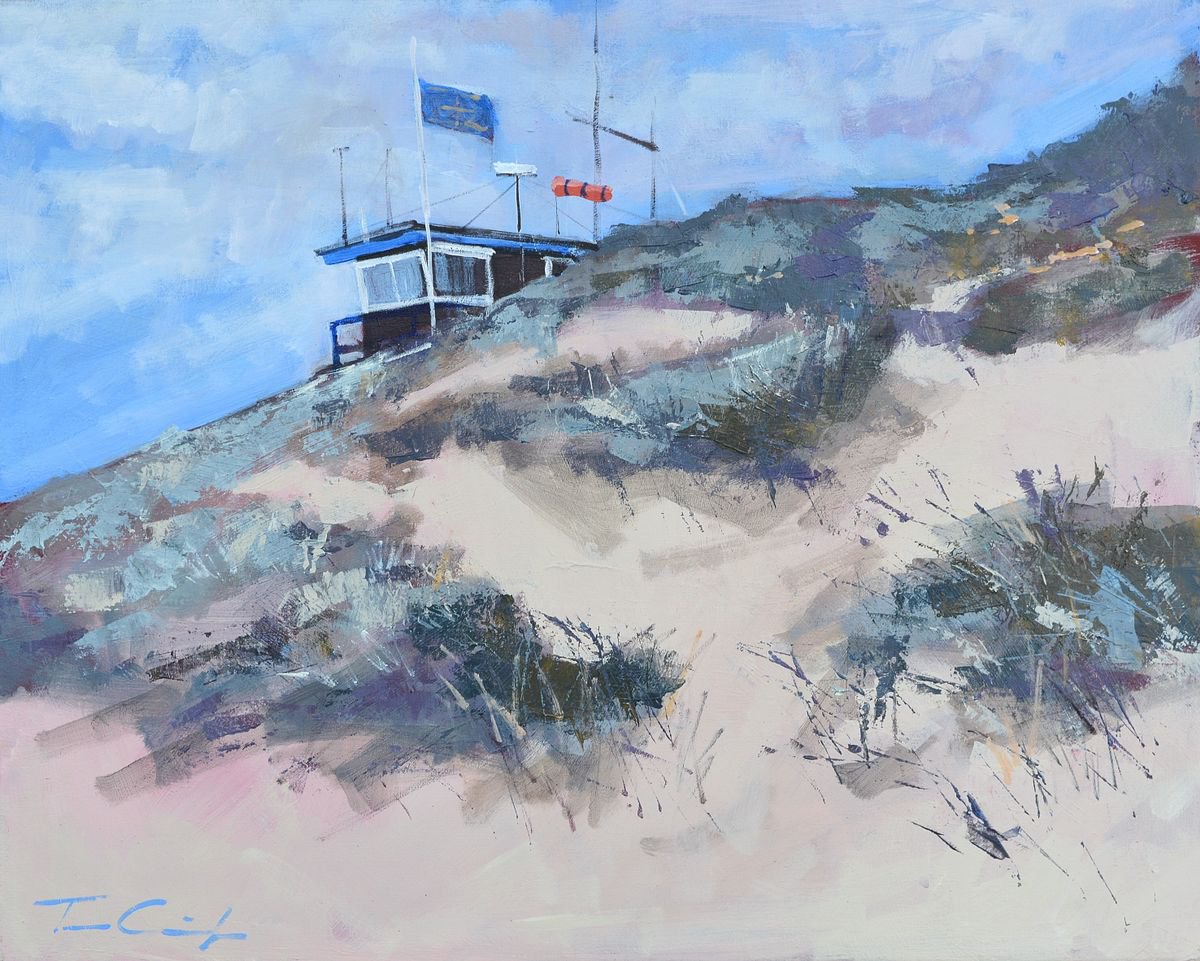 The coast watch by Tom Cringle