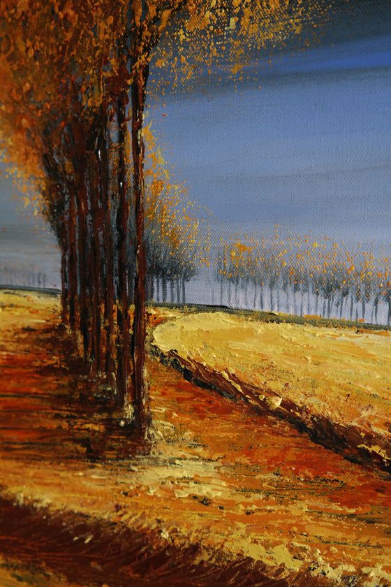 The Lines of Autumn  II - Fields and Colors Series