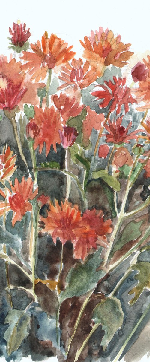 CHRYSANTHEMUMS by Elena Lykhodid