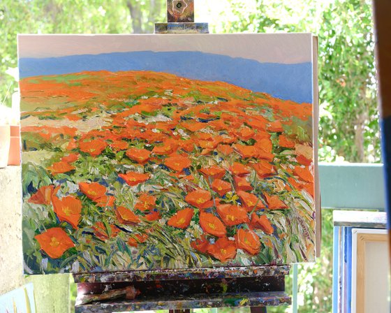 California Poppies, Superbloom