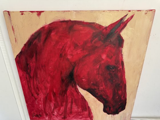 Red horse
