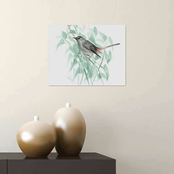 Gray Catbird, Bird artwork