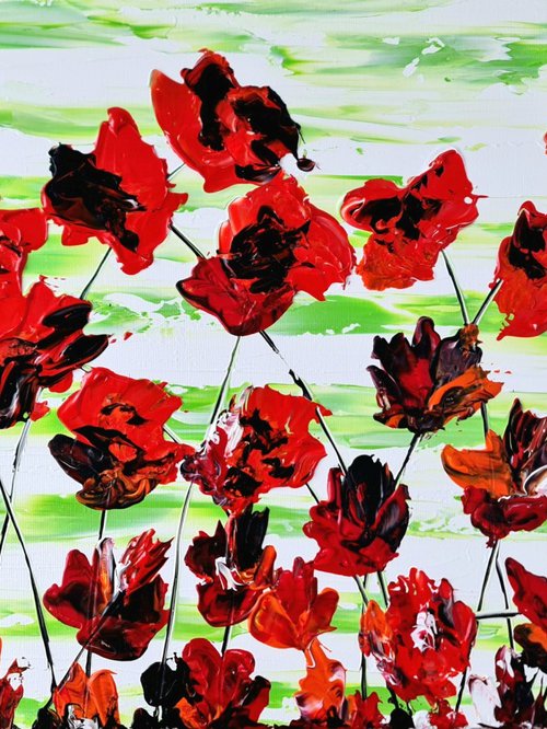 Red Poppies 1 by Daniel Urbaník