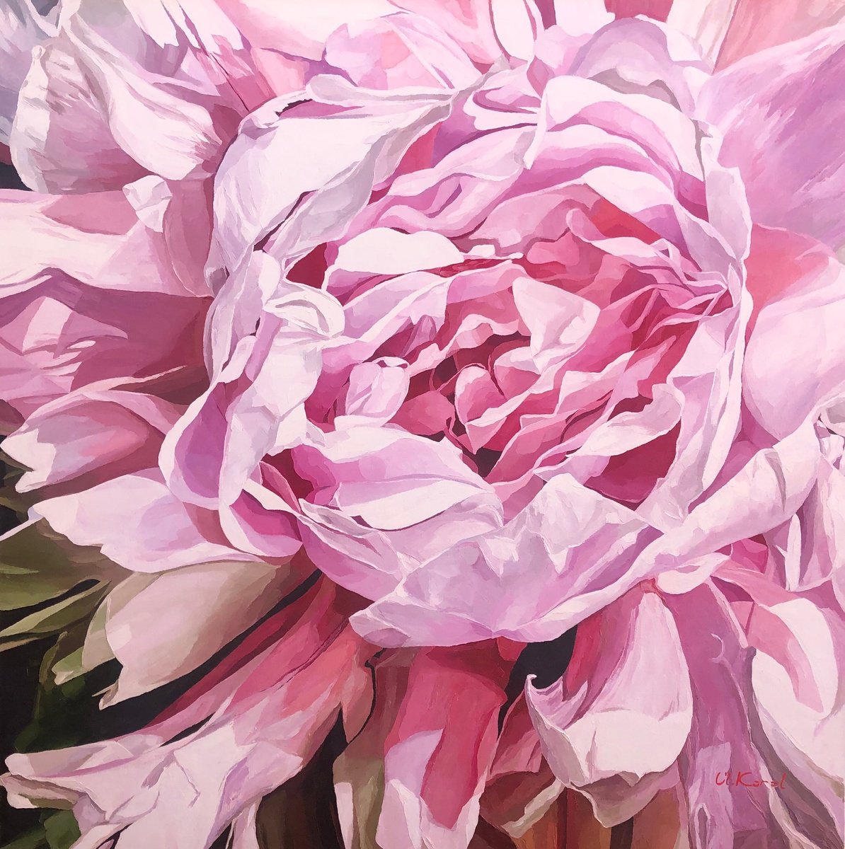 Photorealistic Botanical Oil Painting By Ulyana Korol, 39 X 39", Victoria, Original Artwork