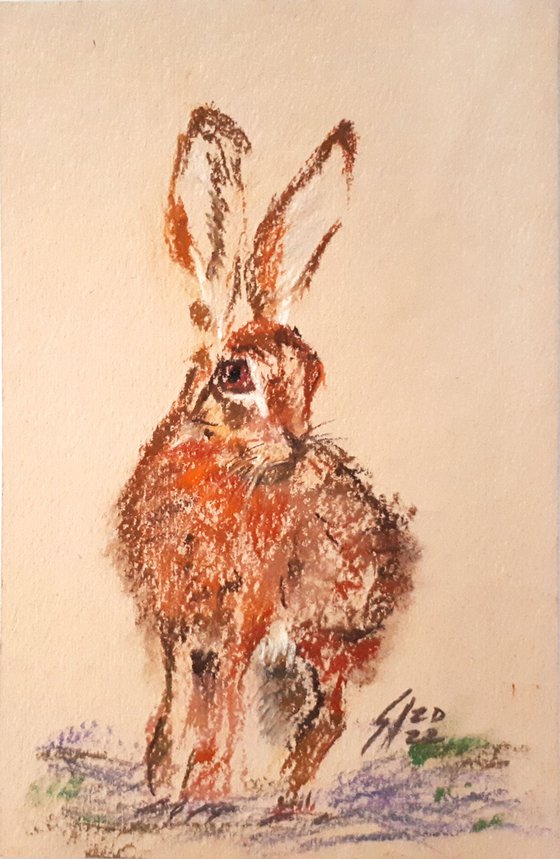 Hare... pastel sketch /  ORIGINAL PAINTING