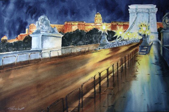 Budapest at night