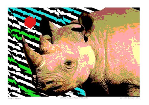Rhino by Jeffery Richards