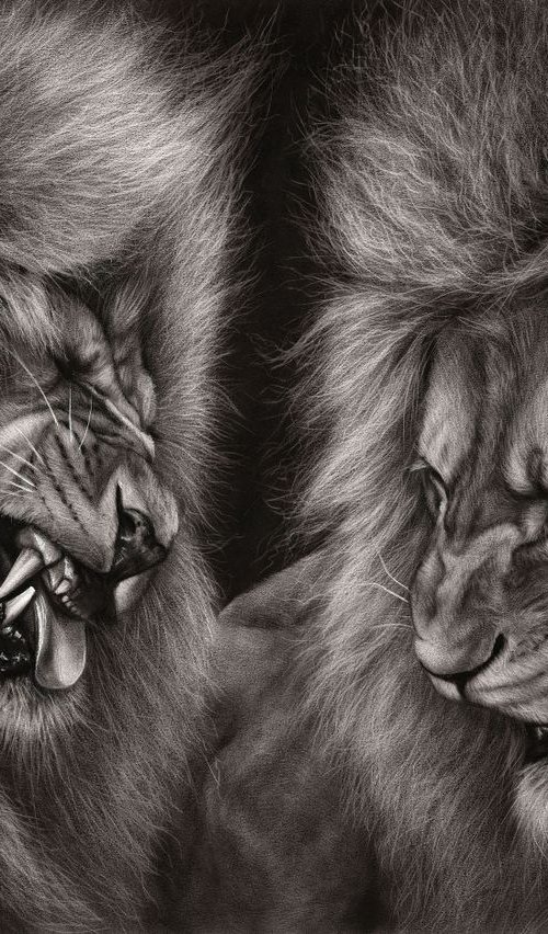 Lion Fight by Danguole Serstinskaja