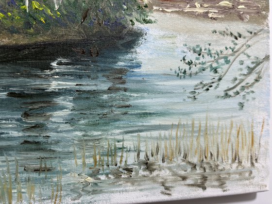 Birch trees on the lake