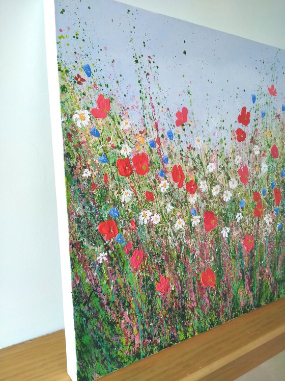 Petals Poppies and Wildflowers