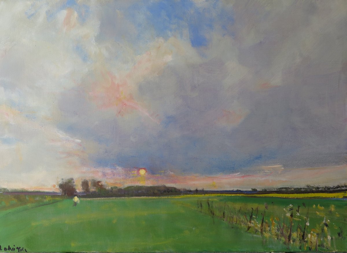 Wolds Sunset by Malcolm Ludvigsen