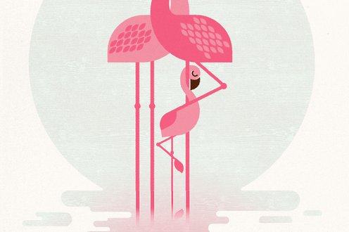 Cover image for Baby pinks collection