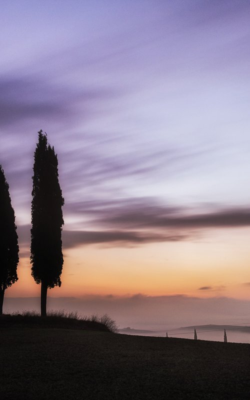 Tuscan cypress trees circle by Karim Carella