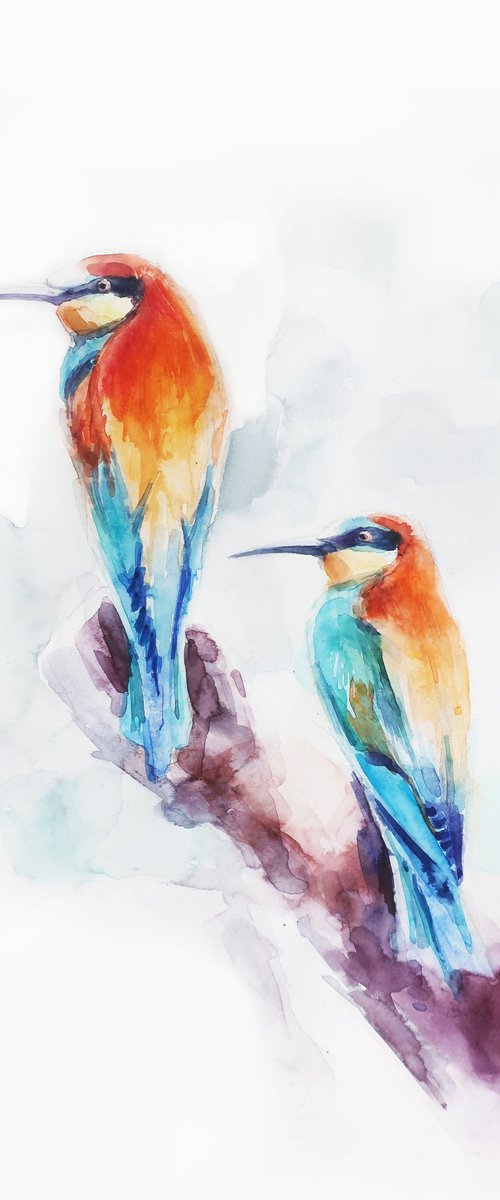 Couple of colored birds by Anna Shchapova