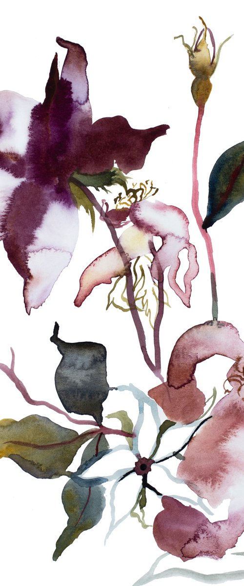 Rose Study No. 51 by Elizabeth Becker