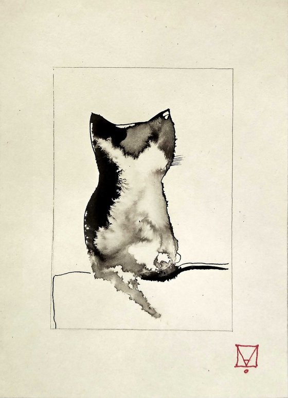 "CAT 6"